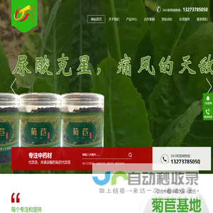 菊苣,金银花,树莓,覆盆子,菊苣粉,